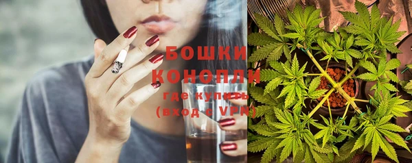 spice Алексин
