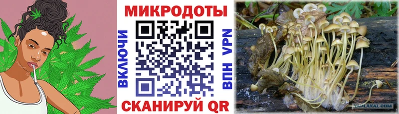 Псилоцибиновые грибы мухоморы закладки Кириллов